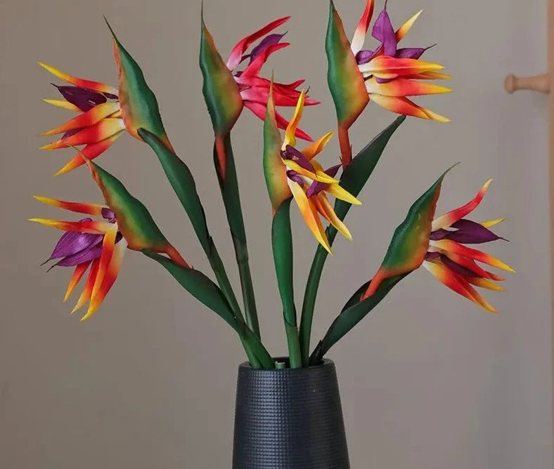 Birds Of Paradise Forever Flowers