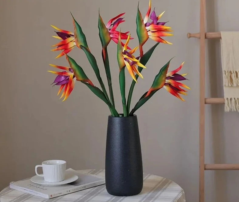 Birds Of Paradise Forever Flowers