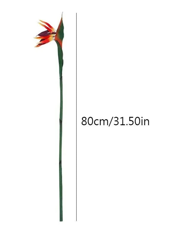 Birds Of Paradise Forever Flowers