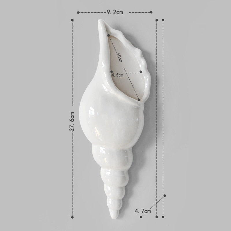 Sea Shell Wall Adornments