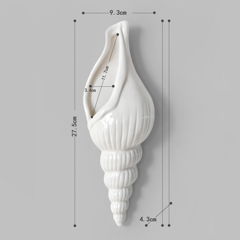 Sea Shell Wall Adornments